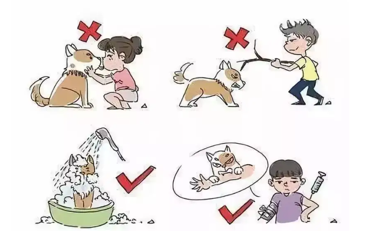 微信图片_2025-06-19_090544_601.png