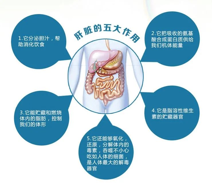 微信图片_2025-06-19_091635_693.png