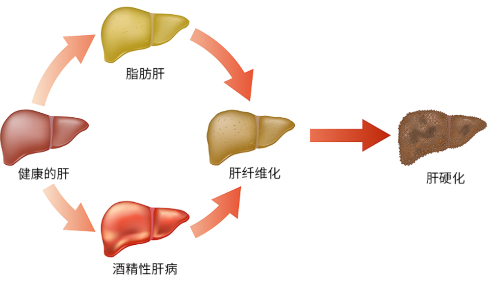 微信图片_20250619093716_5.png