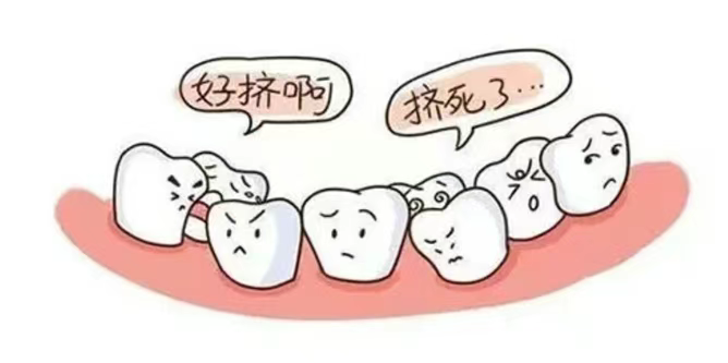 微信图片_20250619093720_6.png