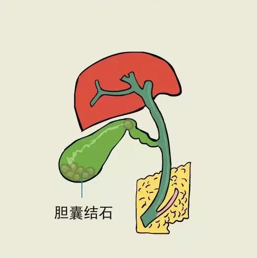 微信图片_20250619093716_5.png