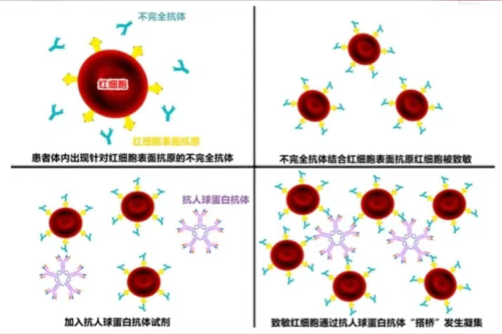 微信图片_20250619093720_6.png