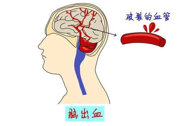 微信图片_2025-06-19_090544_601.png