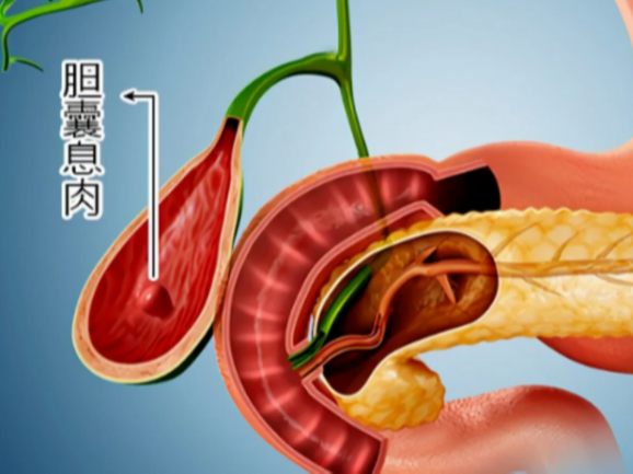 微信图片_2025-06-19_090544_601.png