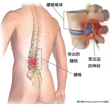 微信图片_2025-06-19_090544_601.png