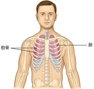 微信图片_2025-06-19_090544_601.png