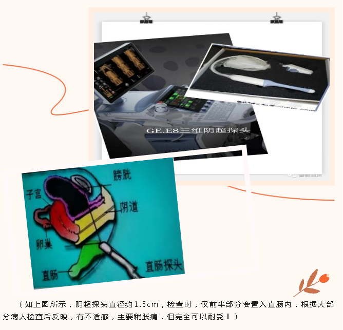 微信图片_2025-06-19_090544_601.png