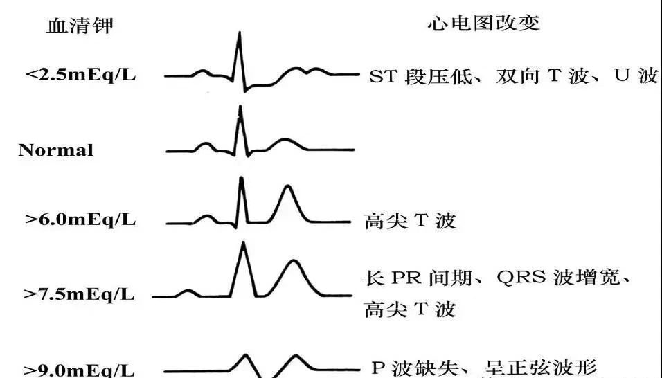 微信图片_2025-06-19_090544_601.png