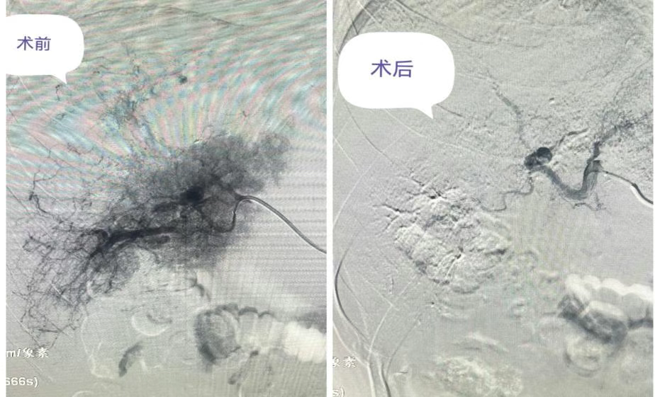 微信图片_2025-06-19_090544_601.png