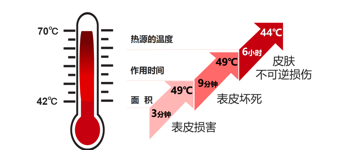 微信图片_2025-06-19_090544_601.png