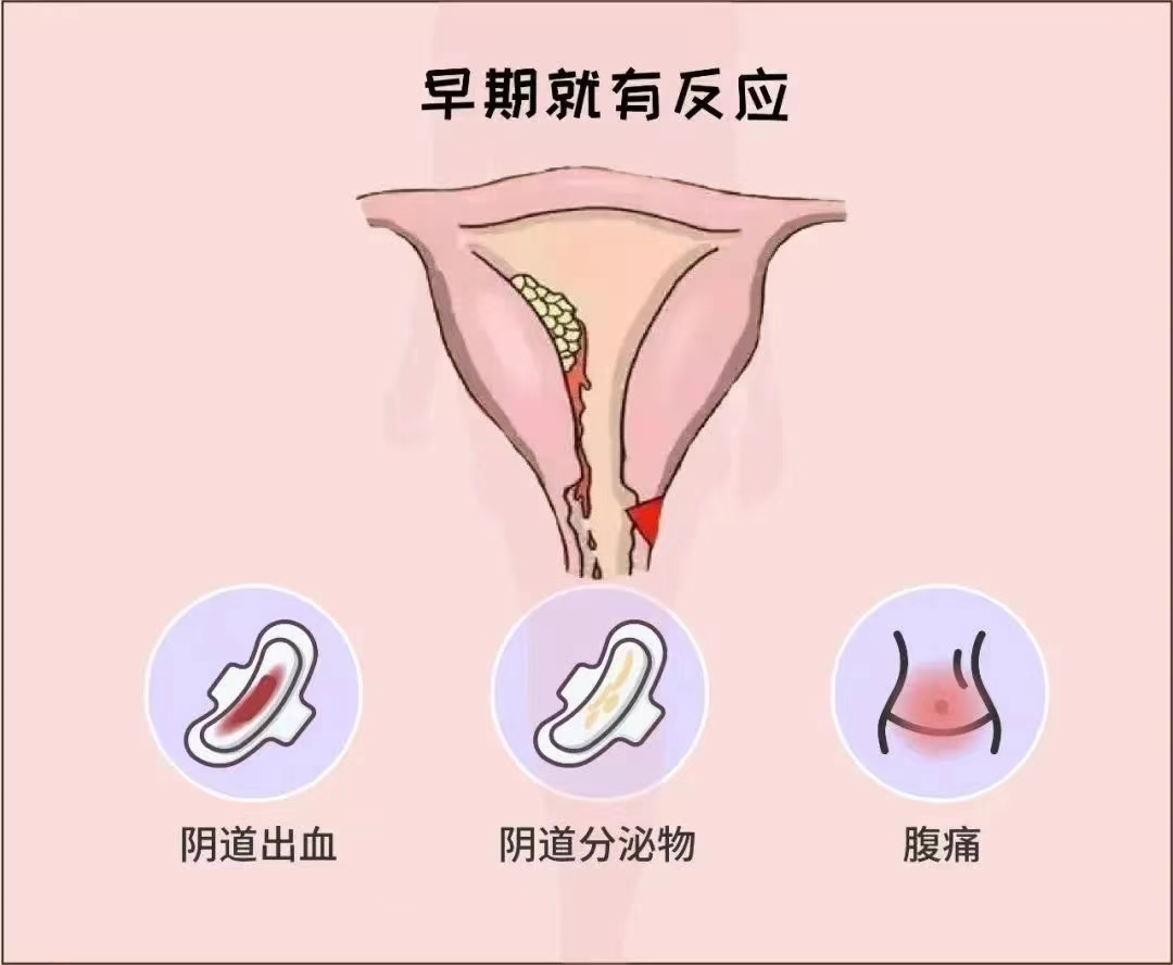 微信图片_20250619093720_6.png