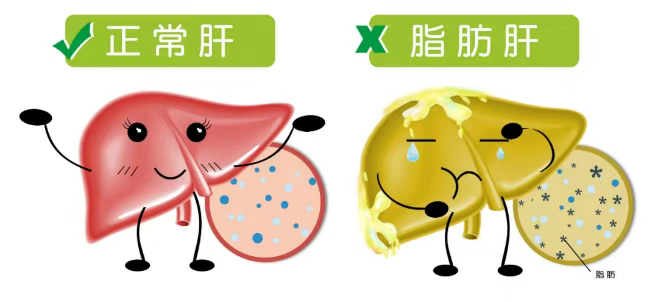 微信图片_2025-06-19_090544_601.png
