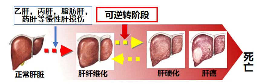 微信图片_20250619093720_6.png