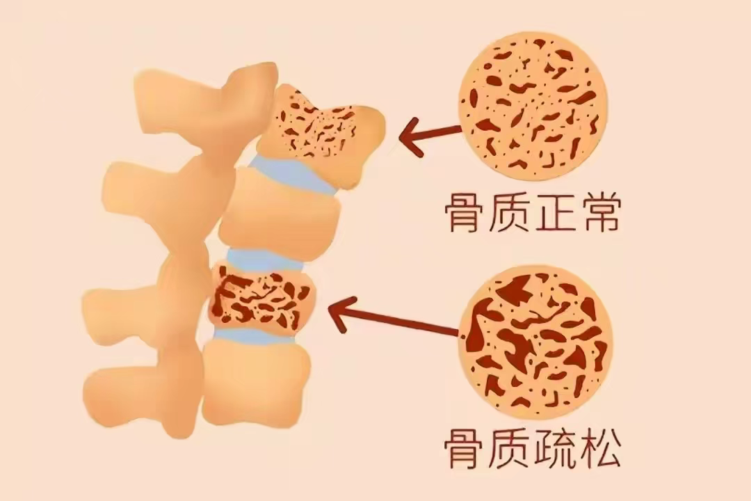 微信图片_2025-06-19_090544_601.png