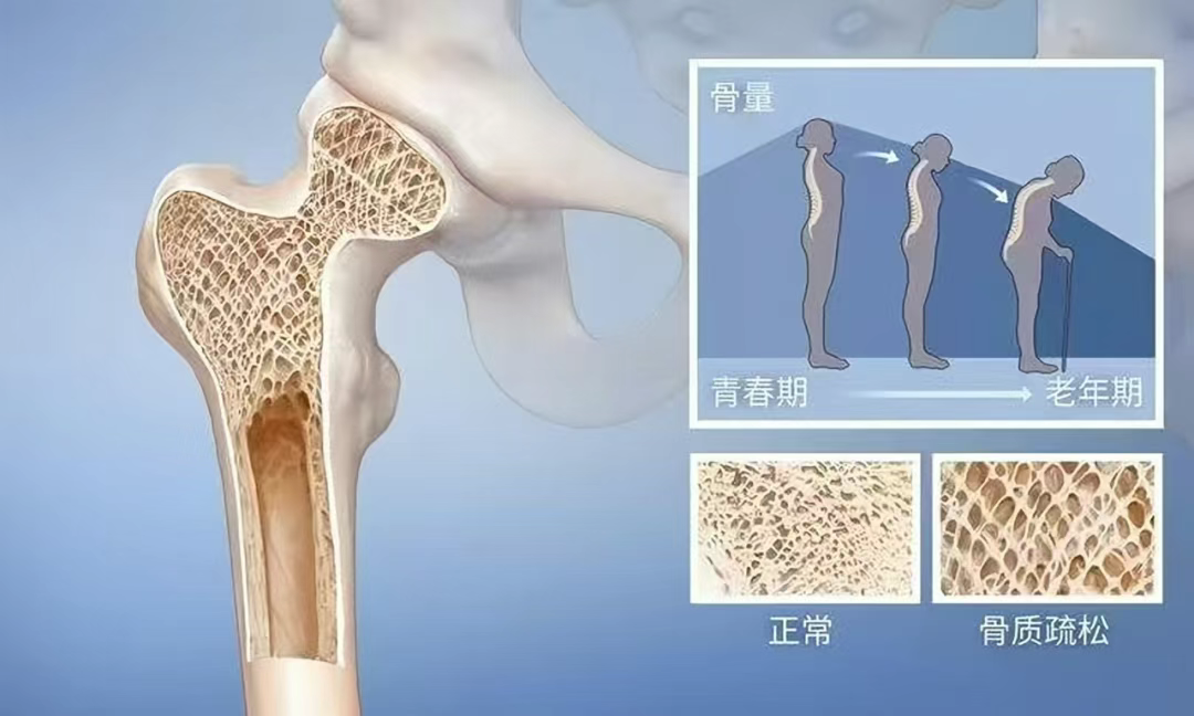 微信图片_2025-06-19_091635_693.png