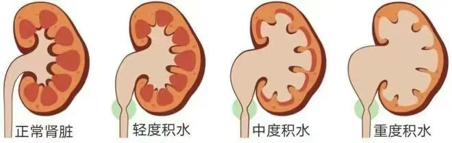 微信图片_2025-06-19_091635_693.png
